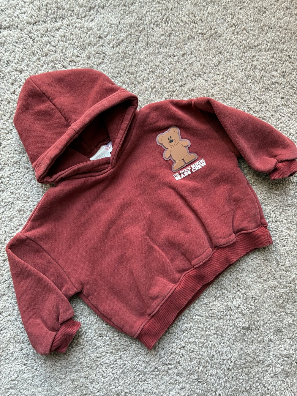 Zara Kids Rust Teddy Hooded Sweatshirt